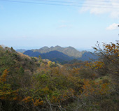 大山トレイル (不動尻渓谷～大山)