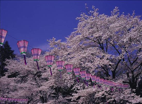 あつぎ飯山桜まつり
