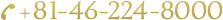 +81-46-224-8000