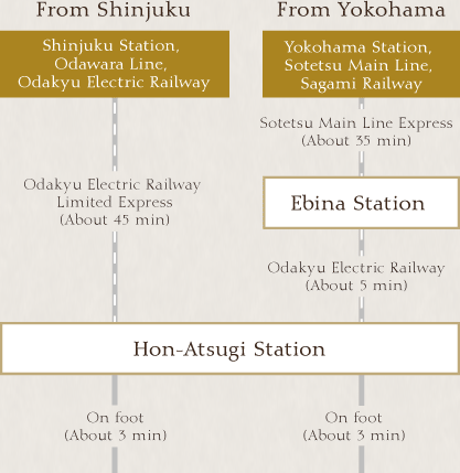 BY TRAIN
