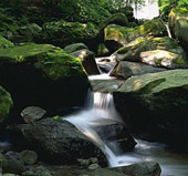 東丹沢七沢温泉郷